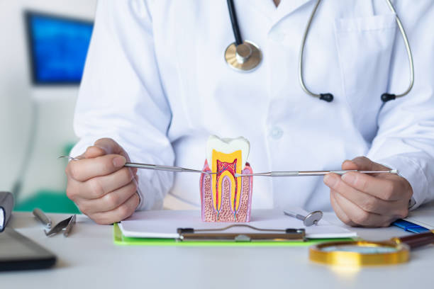 Best Orthodontic Emergency Dentist in Franklin Furnace, OH